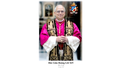 Khuôn Mặt Người Bắc Cầu - Pontifex